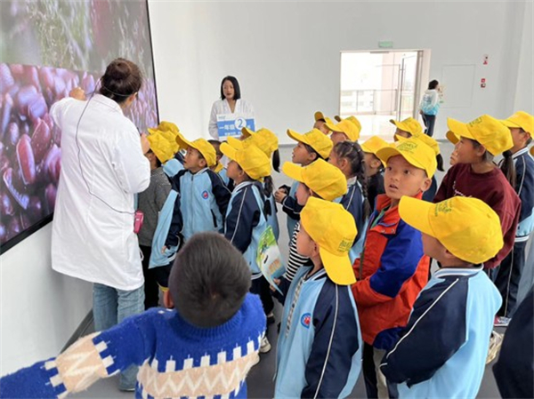 1741745935682339.jpg 圖片7.jpg