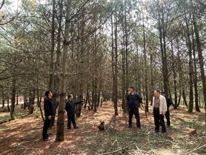 1749446656507162.jpg 圖片7.jpg