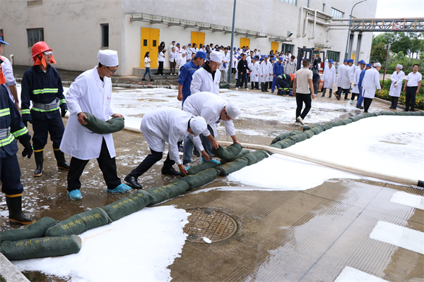 1750829512297324.jpg 2.jpg