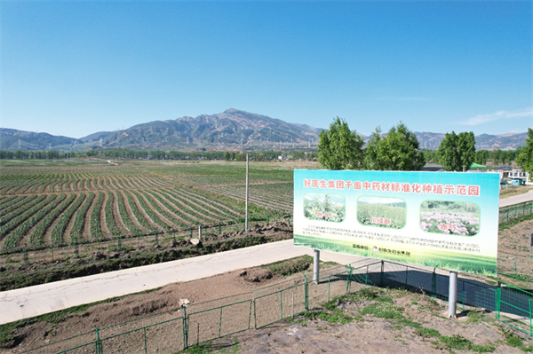 1758007502655569.png 4.png