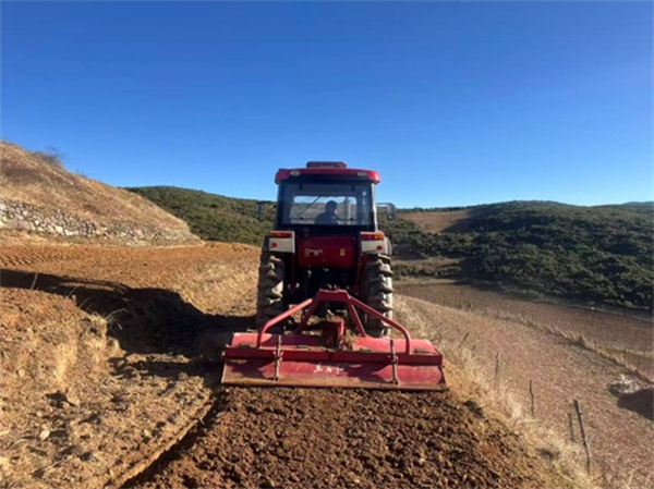 1766648493842128.jpg 圖片1.jpg