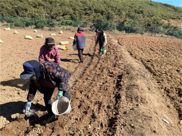 1766648508658276.jpg 圖片3.jpg