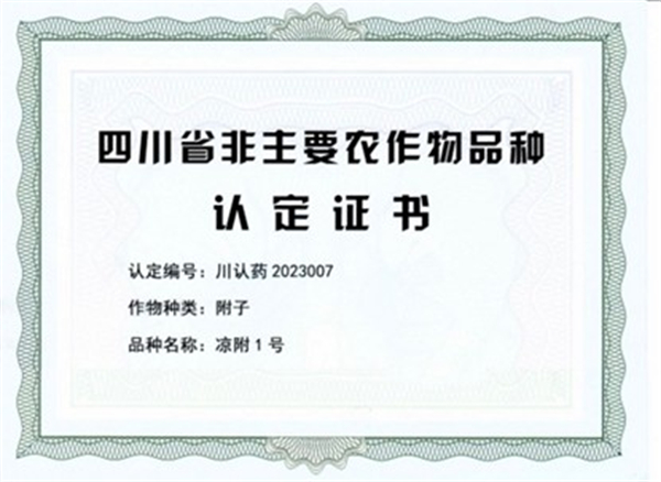 1766648519279797.jpg 圖片4.jpg