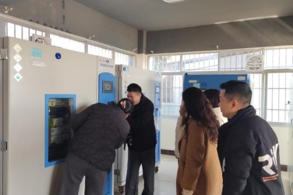 1771054390797247.jpg 6.jpg